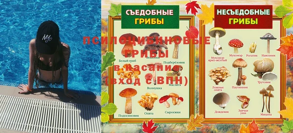 прущие грибы Няндома