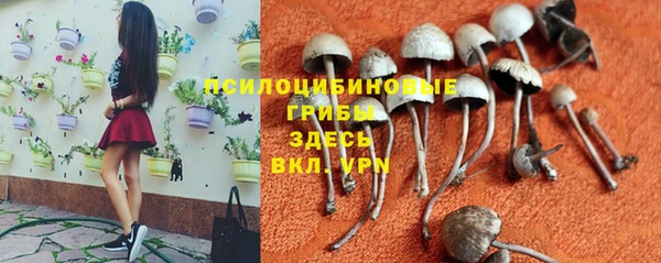 герыч Верея