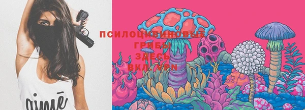 герыч Верея