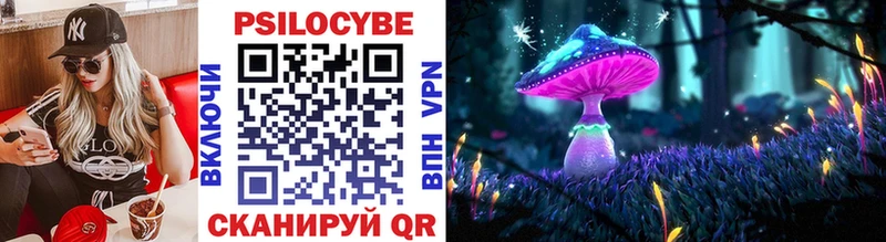 Галлюциногенные грибы Cubensis  Снежинск 